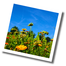 Produkte 3 Produkte 3