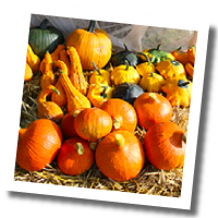 Produkte 1 Produkte 1