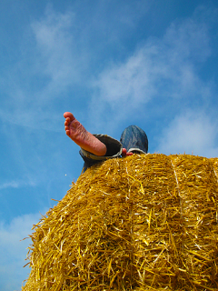 Erleben & Genießen 2 Erleben & Genießen 2