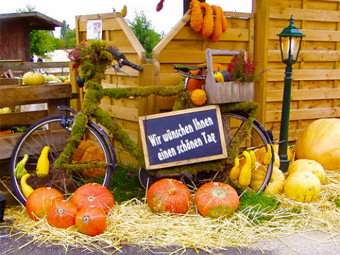 Über uns 2 Über uns 2