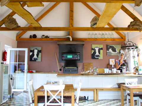 Über uns 5 Über uns 5