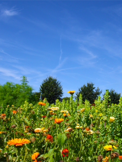 Erleben & Genießen 3 Erleben & Genießen 3