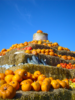 Erleben & Genießen 7 Erleben & Genießen 7