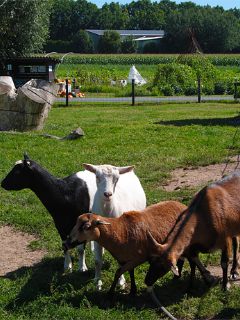 Erleben & Genießen 6 Erleben & Genießen 6