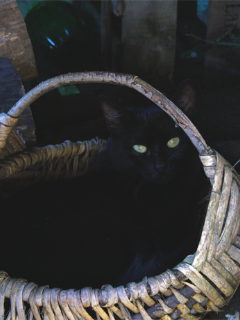 Erleben & Genießen 8 Erleben & Genießen 8