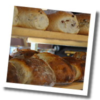 Produkte 6 Produkte 6