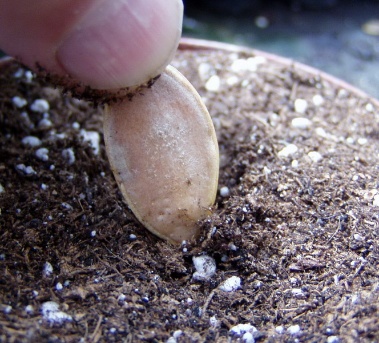 Ein Riese erwacht 000 Ein Riese erwacht 000