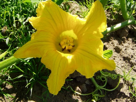 Ein Riese erwacht 009 Ein Riese erwacht 009