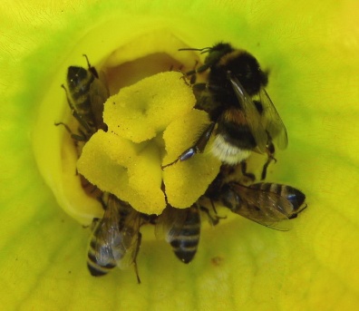 Ein Riese erwacht 010 Ein Riese erwacht 010