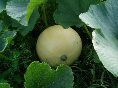 Ein Riese erwacht 012 Ein Riese erwacht 012