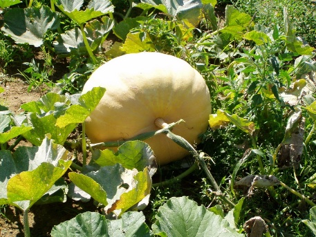 Ein Riese erwacht 013 Ein Riese erwacht 013