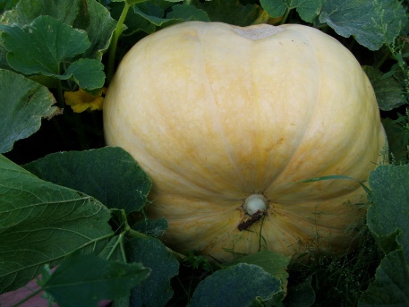 Ein Riese erwacht 014 Ein Riese erwacht 014