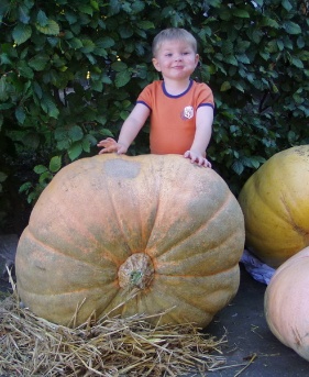 Kuerbismonster 015 Kuerbismonster 015