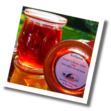 Produkte 7 Produkte 7