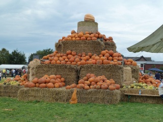 Kürbisfest 03 Kürbisfest 03